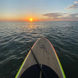 骚逼子好莱污视频
